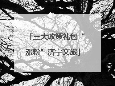 三大政策礼包“涨粉”济宁文旅